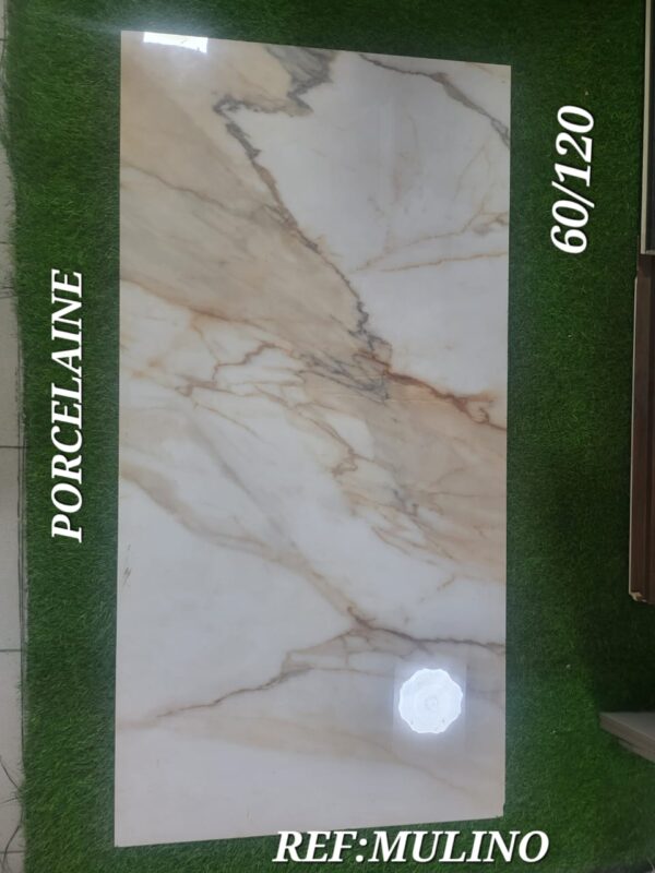 carreaux Porcelaine 60/120